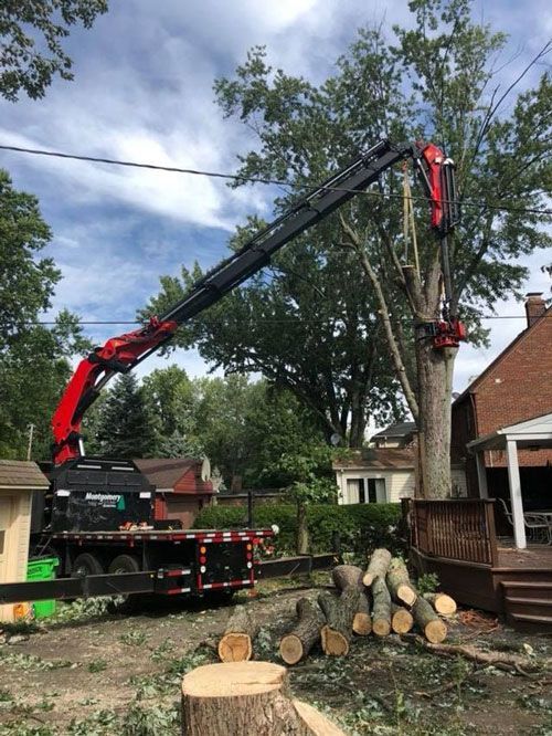 A Feller Buncher And A Branch Of Tree | Chardon, OH | Montgomery Tree & Stump Removal