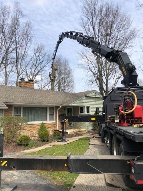 A Truck Cutting A Tree | Chardon, OH | Montgomery Tree & Stump Removal