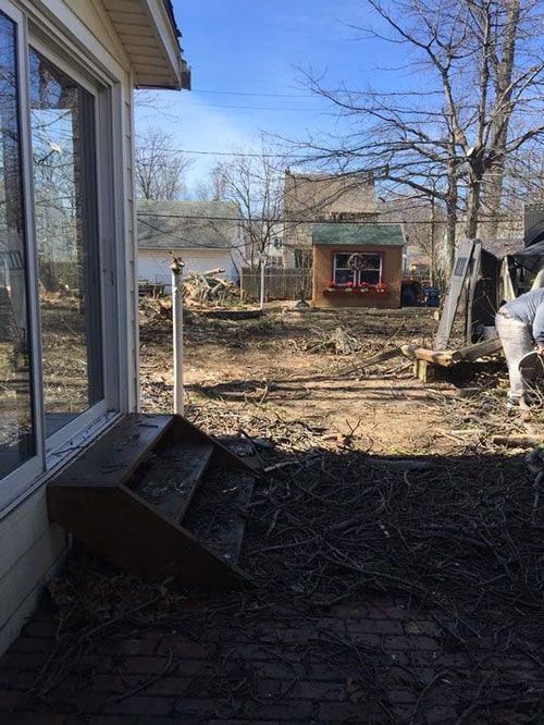 A House With Some Tree Branches Stump | Chardon, OH | Montgomery Tree & Stump Removal