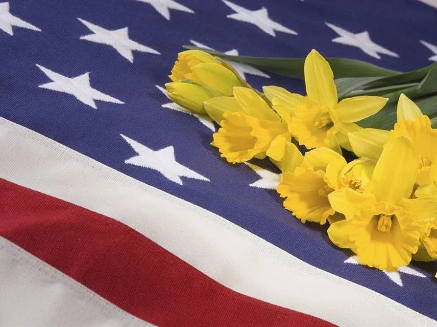 Yellow daffodils resting on a folded American flag