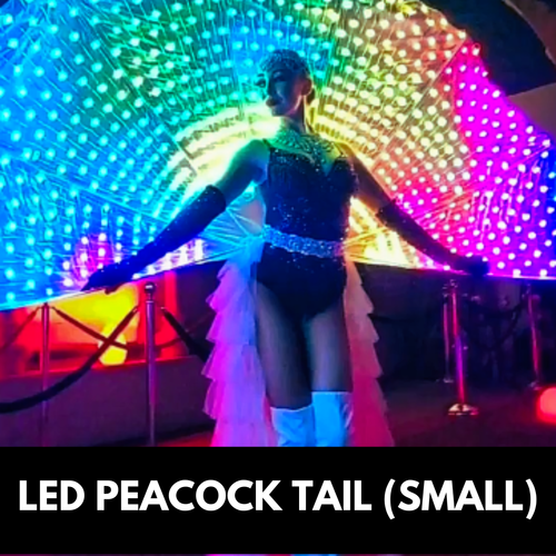 Woman in costume stands before a rainbow LED peacock tail; nighttime setting.