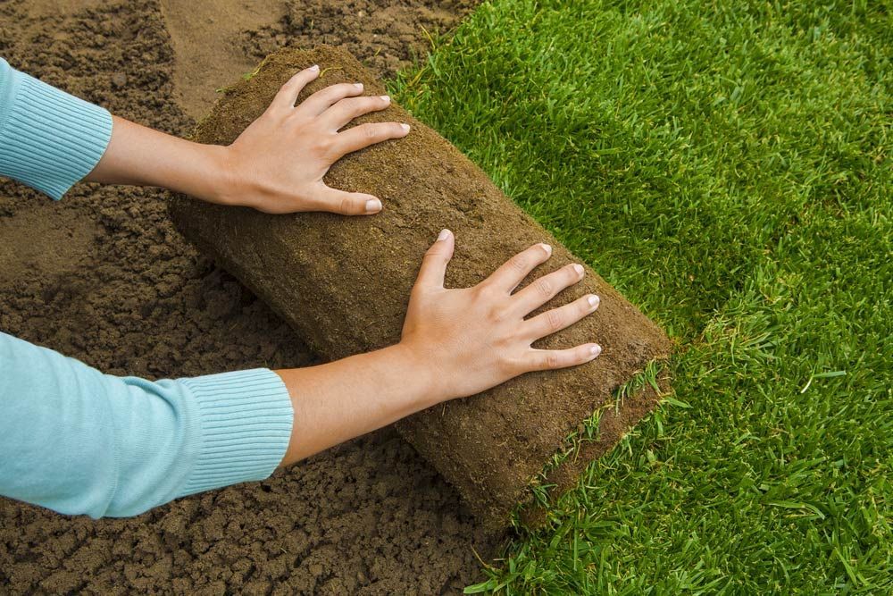 A Person Is Rolling A Roll Of Turf On A Lawn — Serious About Landscape Supplies In Avoca, NSW