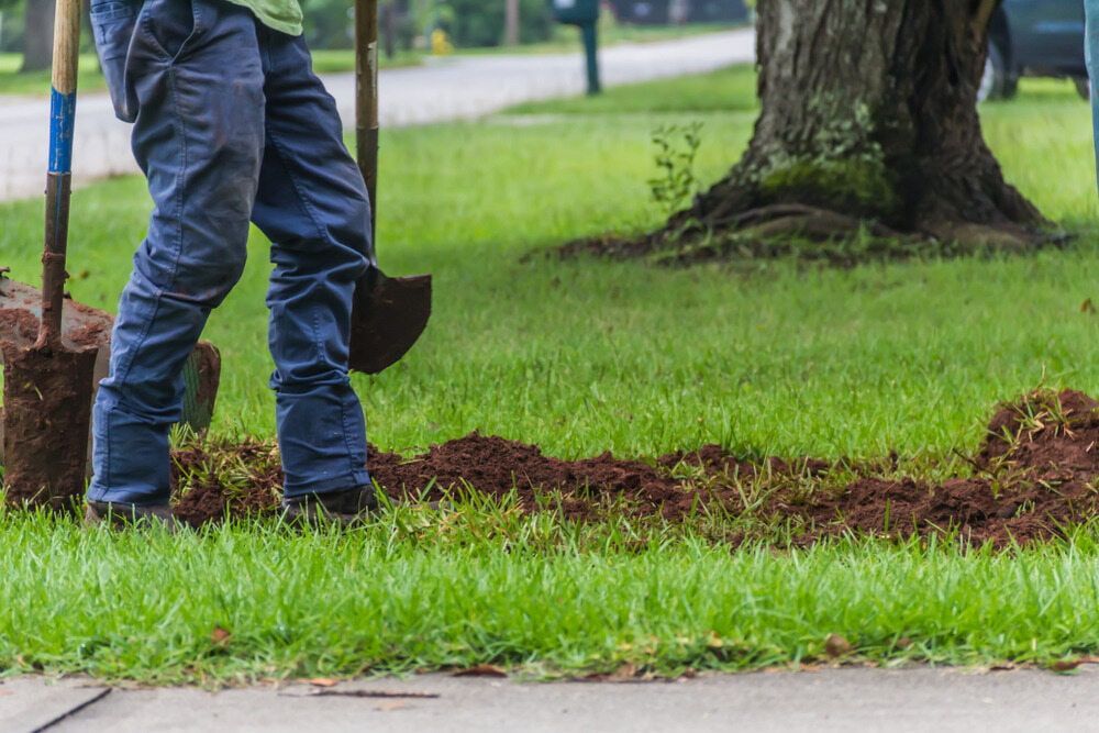 A Man Is Digging A Hole In The Grass With A Shovel — Serious About Landscape Supplies In Woy Woy, NSW