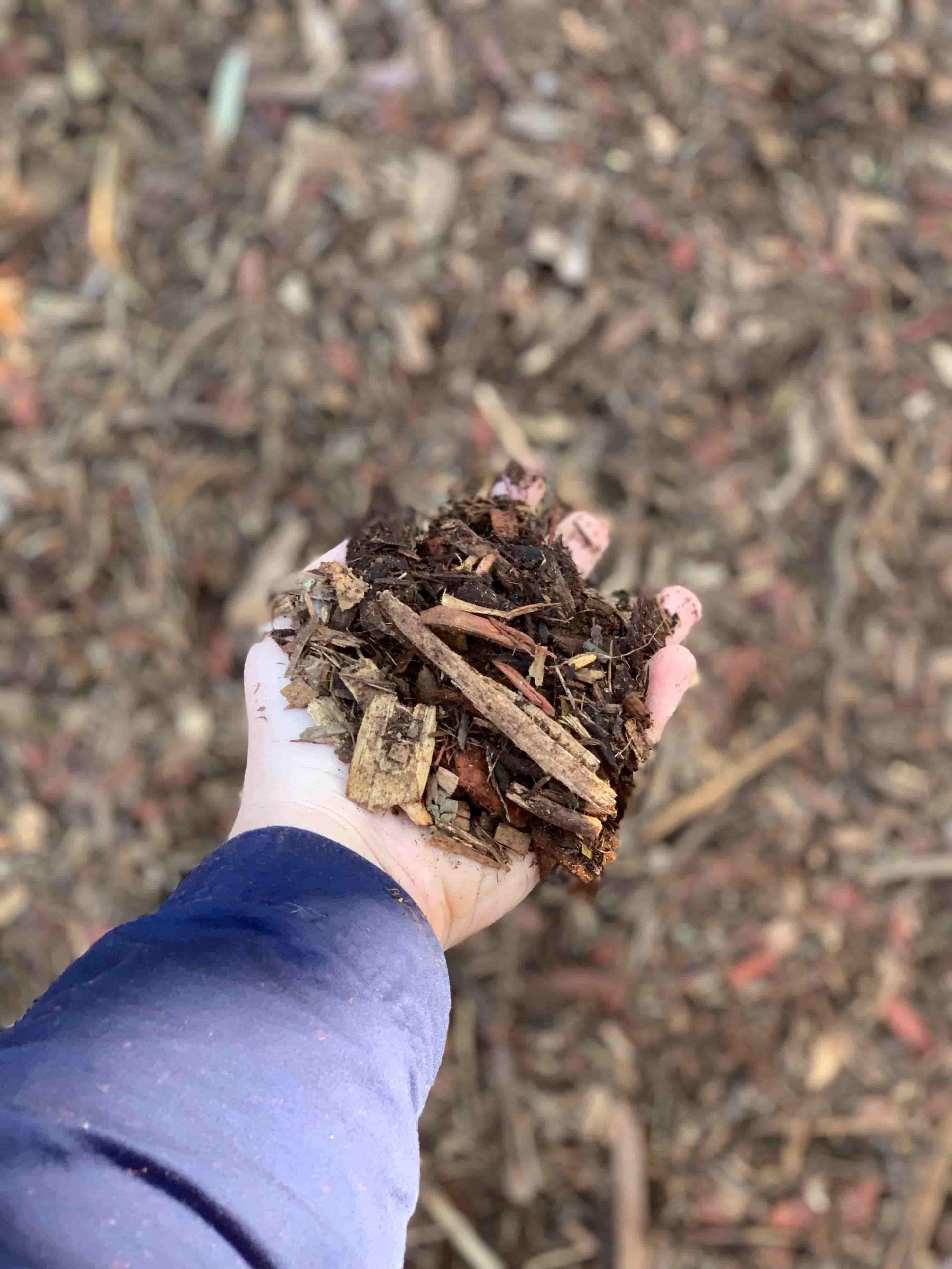 A Person Is Holding A Pile Of Dirt In Their Hand — Serious About Landscape Supplies In West Gosford, NSW