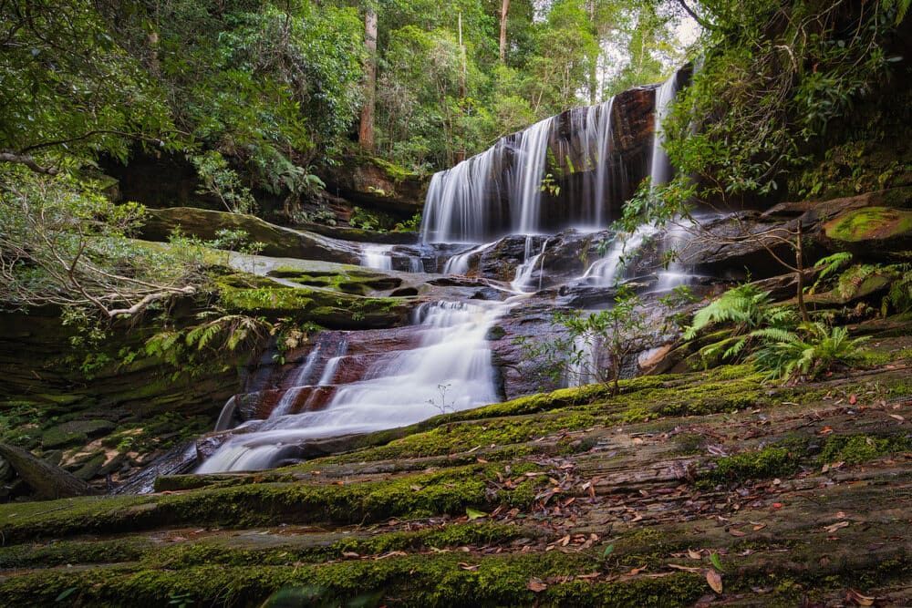 A Waterfall In The Middle Of A Forest Surrounded By Trees And Moss — Serious About Landscape Supplies In Somersby, NSW