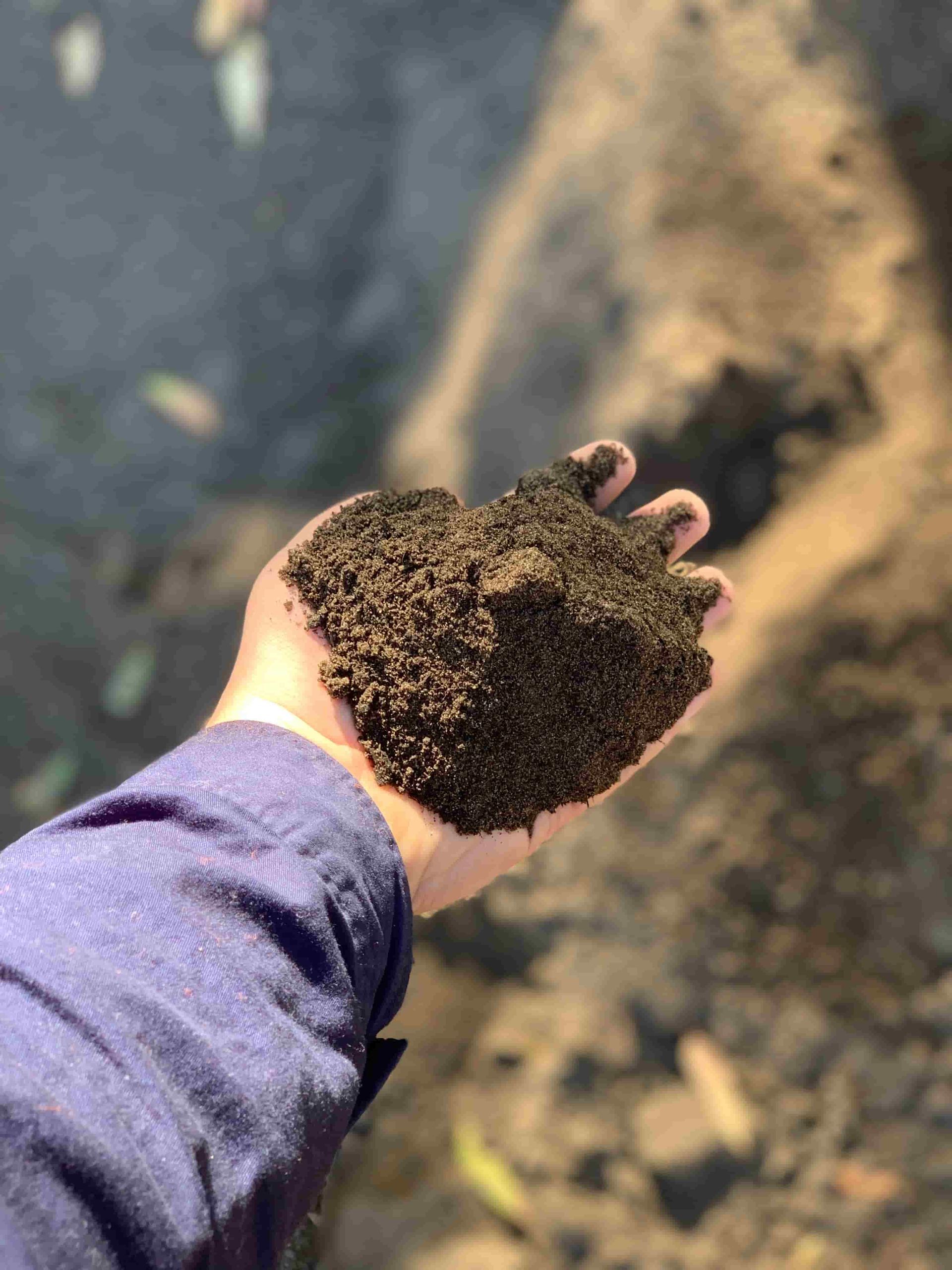 A Person Is Holding A Pile Of Dirt In Their Hand — Serious About Landscape Supplies In West Gosford, NSW