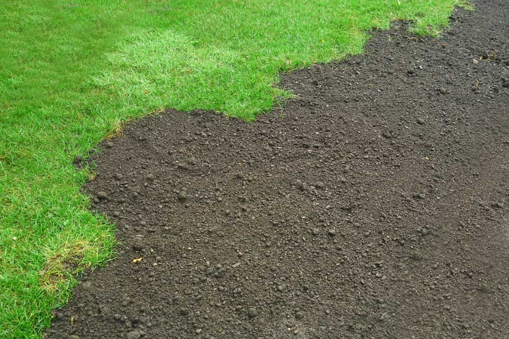 There Is A Patch Of Grass Next To A Patch Of Dirt — Serious About Landscape Supplies In West Gosford, NSW