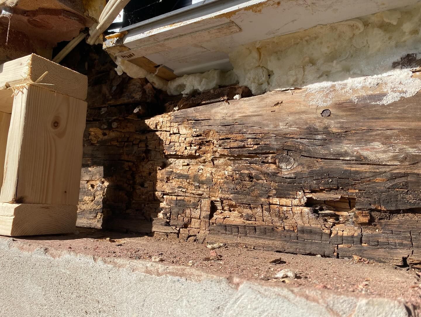 Gros plan sur du bois fortement pourri sous une maison ou une terrasse, montrant les dégâts et la décomposition apparents.