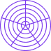 A purple circular spiderweb-like diagram consisting of five concentric rings divided by five radiating lines.