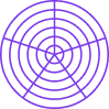 A purple spider web-like chart featuring five concentric circles divided by five radial lines emanating from the center.