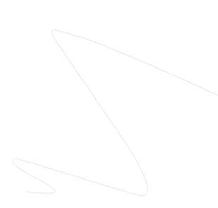 A thin, light gray line drawn in a stylized, jagged Z-shape on a white background.