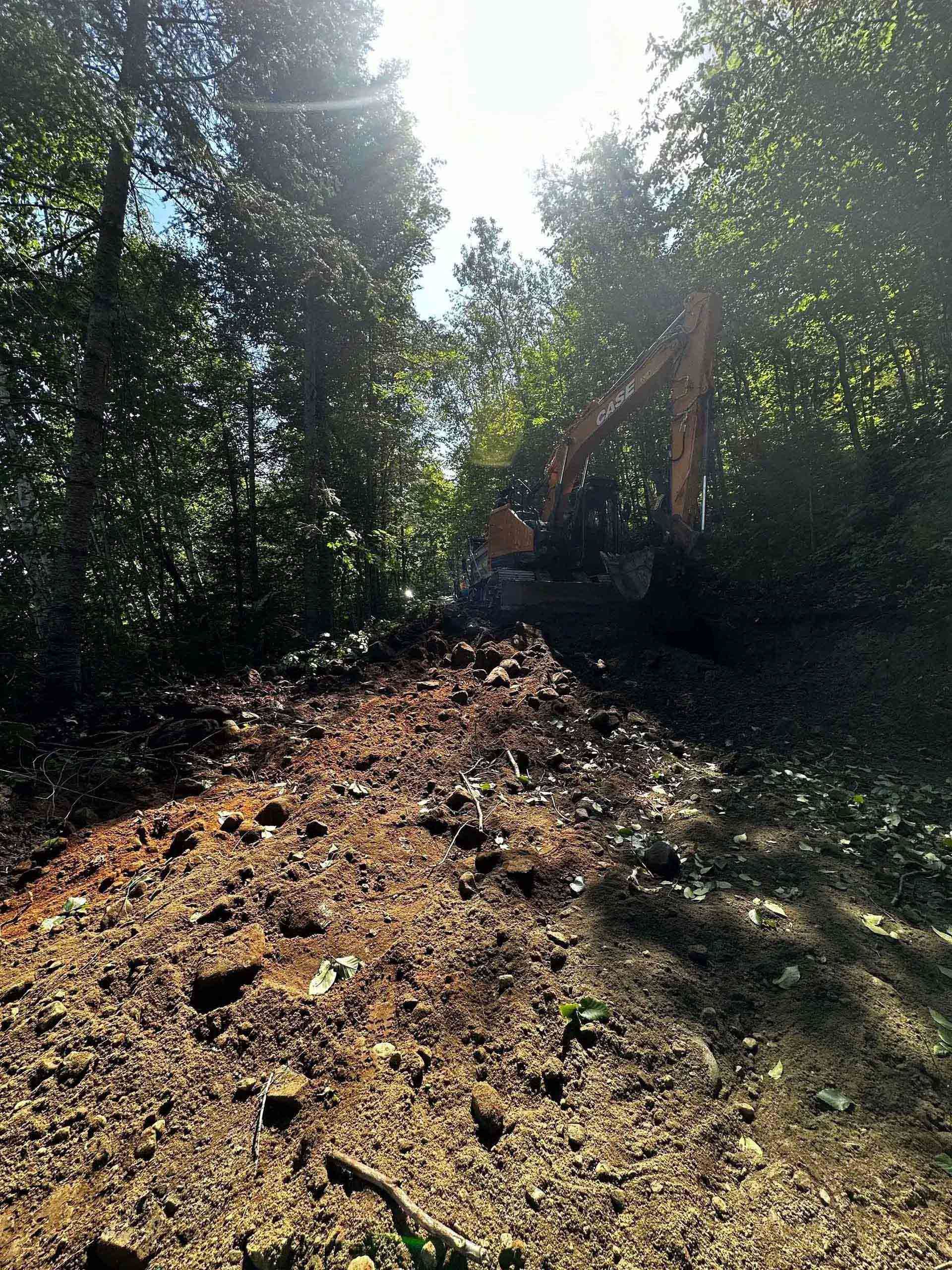 Wooded trail with a bulldozer clearing brush in bright sunlight