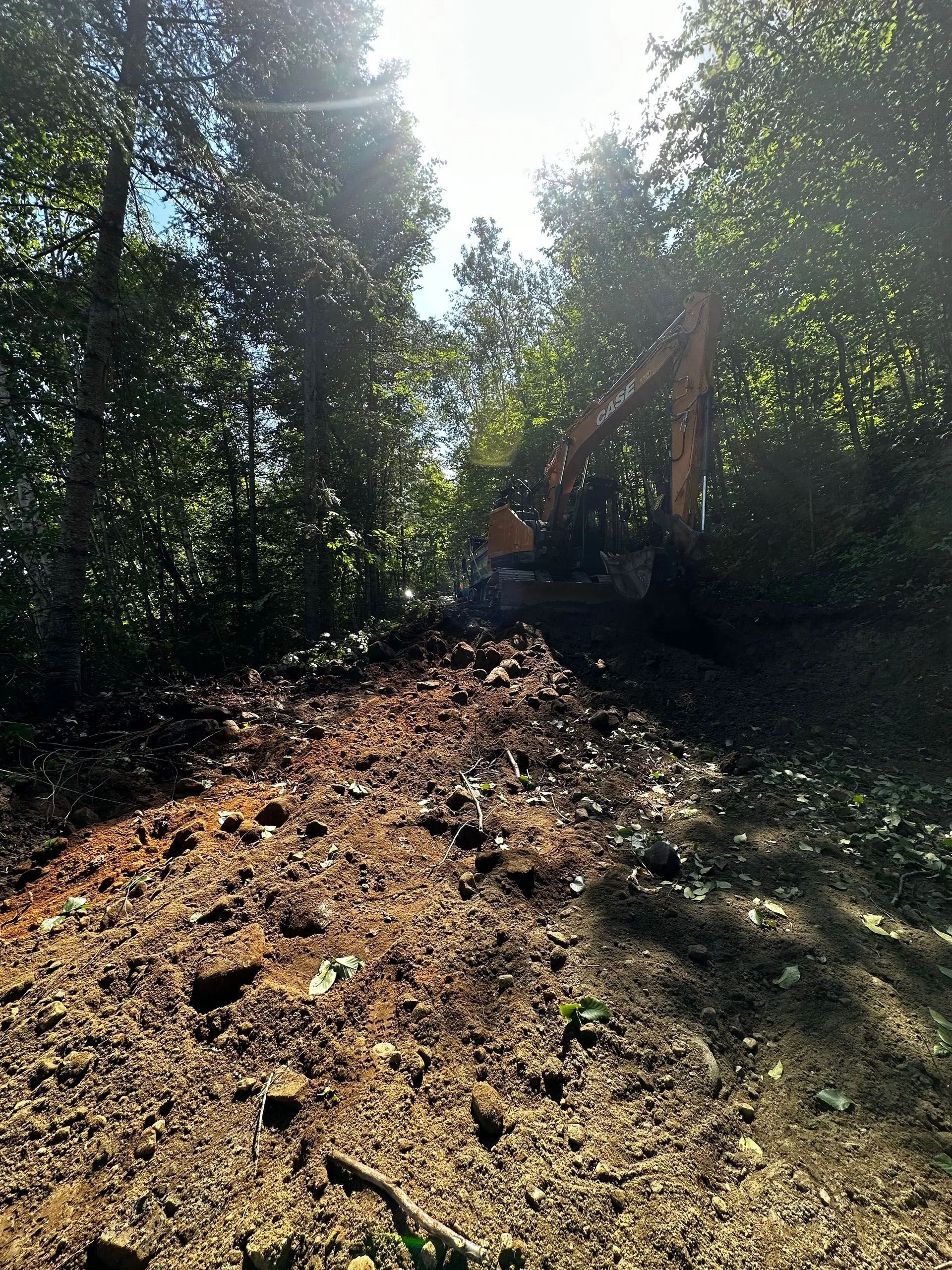 Une excavatrice travaille sur un chemin de terre dans une zone boisée, sous un soleil éclatant.