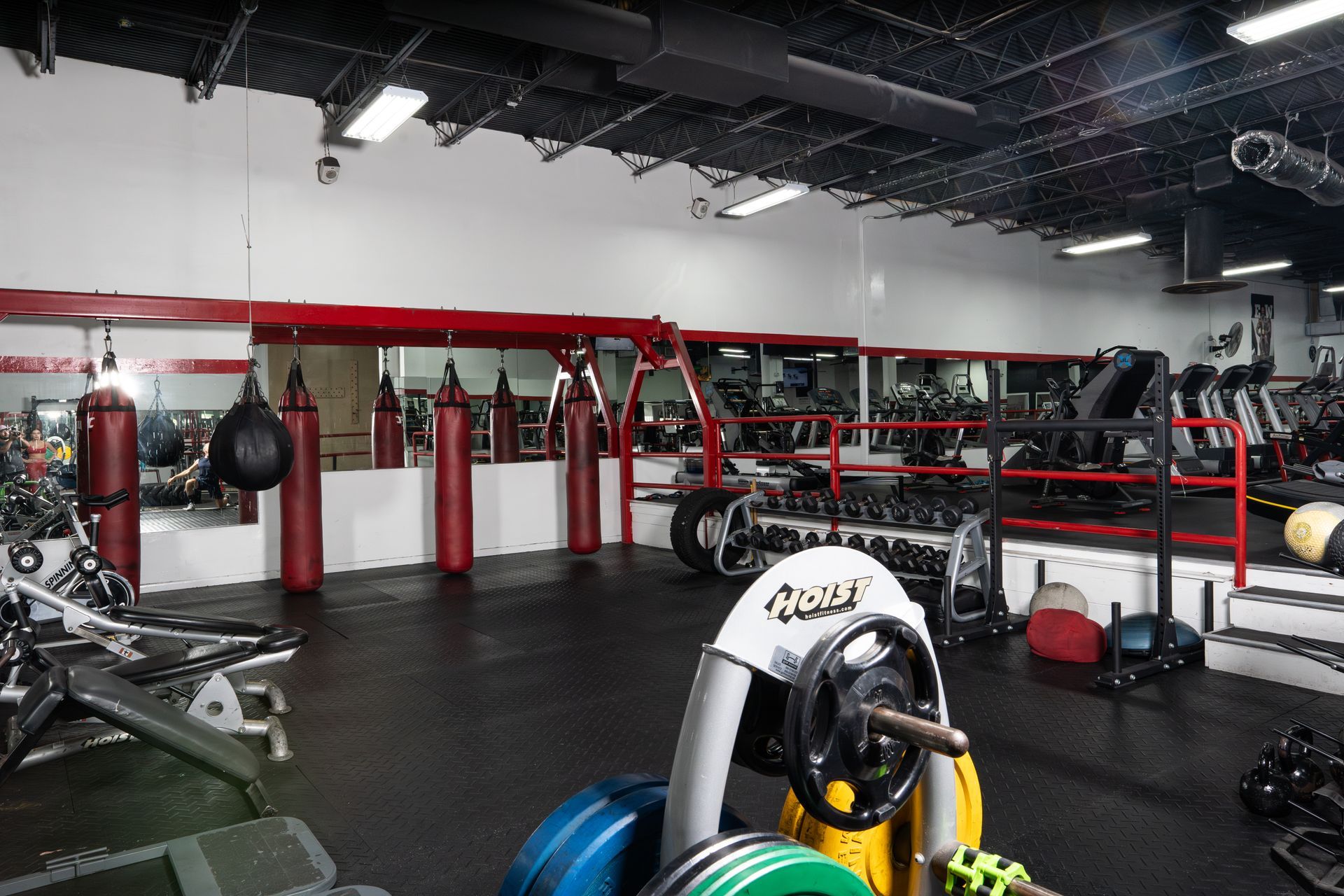 Facilities at Apex Gym | Elite Equipment, Recovery Zones & More in Oakland Park
