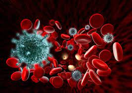 Bloodborne Pathogens OSHA Standard