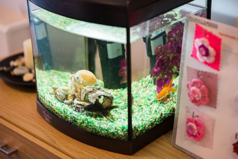a small fish tank is sitting on a wooden table .