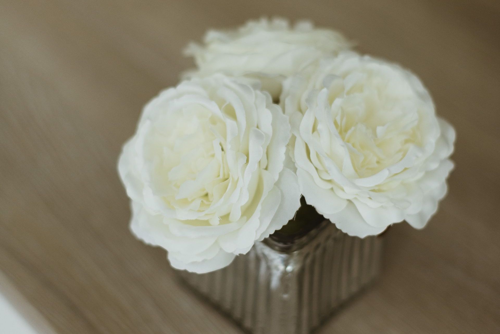 a small cude-shaped vase filled with white roses is sitting on a table .
