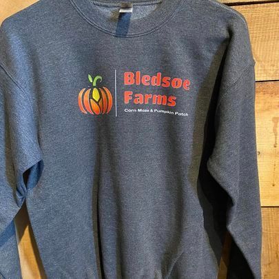 A sweatshirt with a pumpkin on it is hanging on a wooden wall.