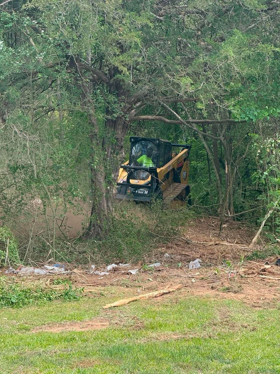 Yellow backhoe partly hidden in dense green trees and brush near a grassy clearing