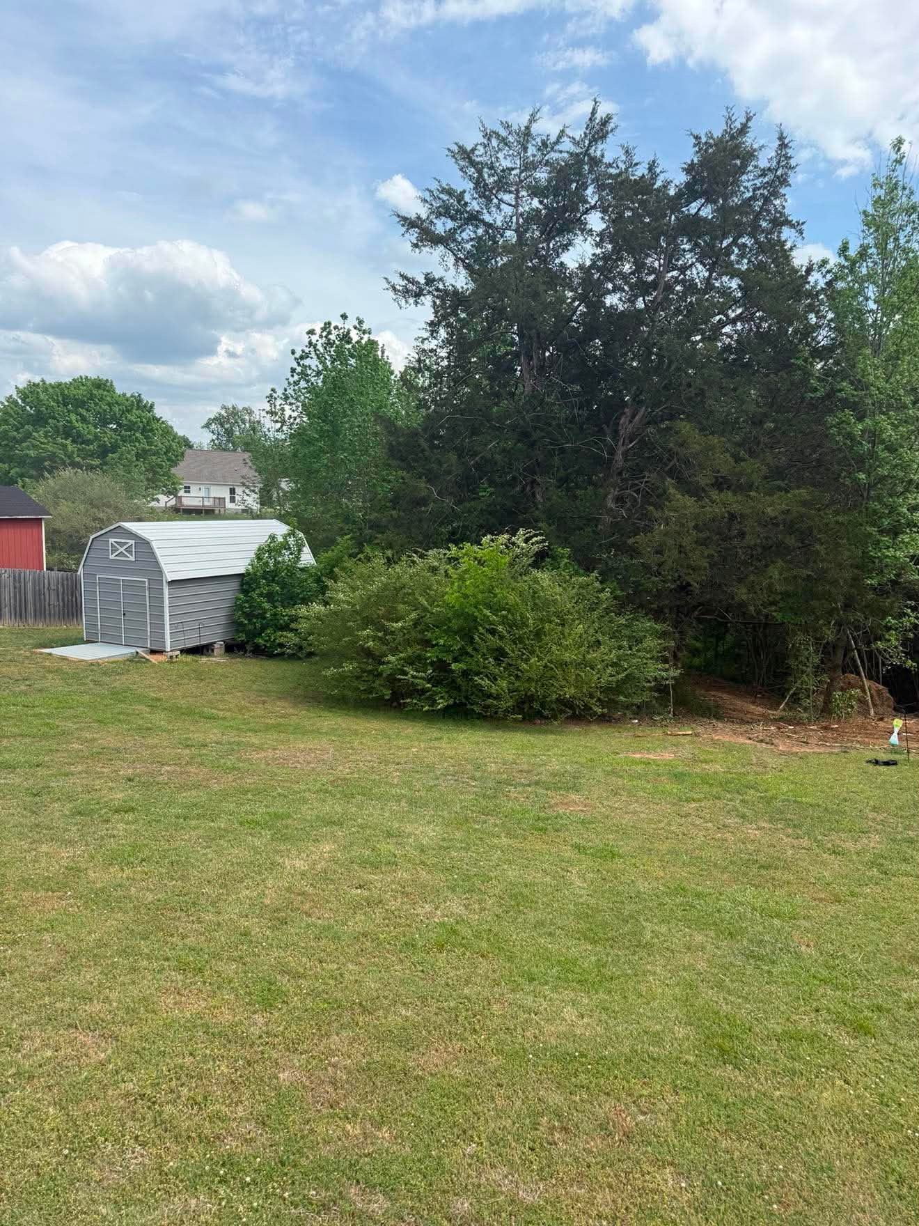Backyard lawn with a greenhouse, bushes, and tall trees under a cloudy sky
