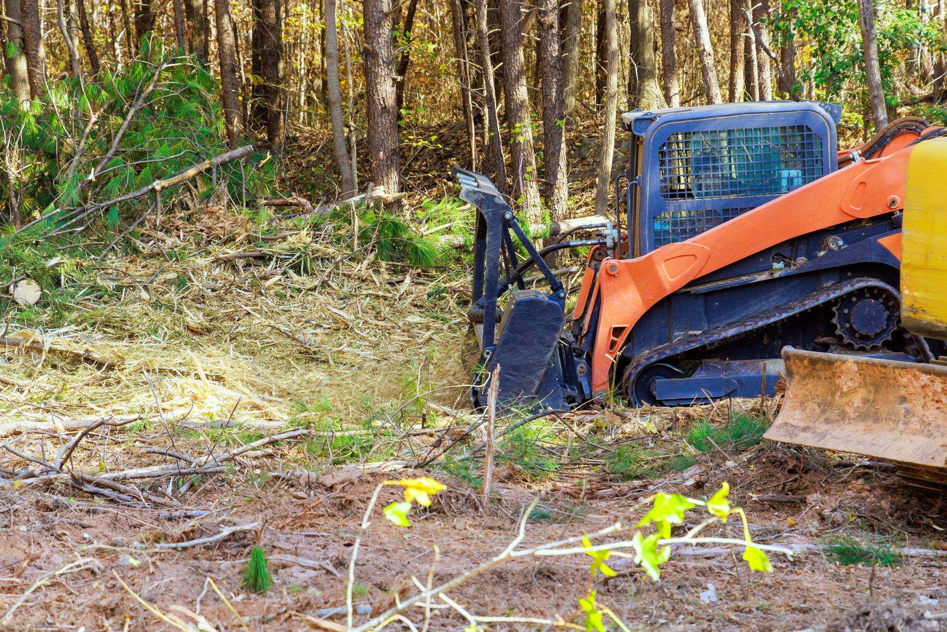 Orange skid-steer clearing brush in a wooded area with trees and cut branches on the ground