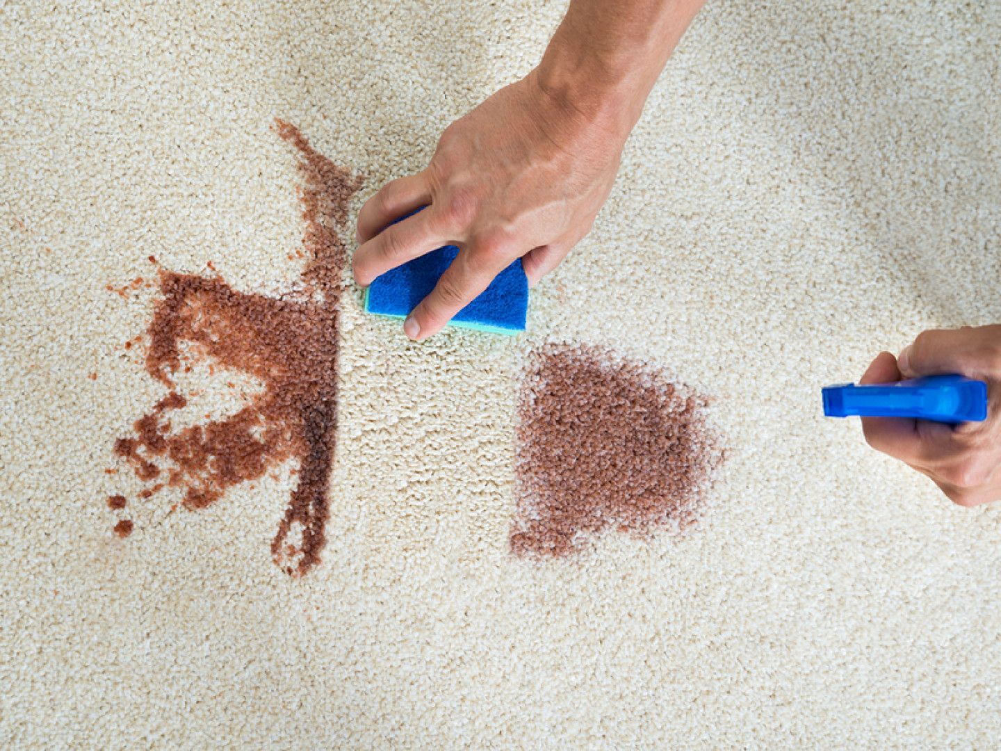 Hands shaking blue shakers over spilled brown powder on a light countertop