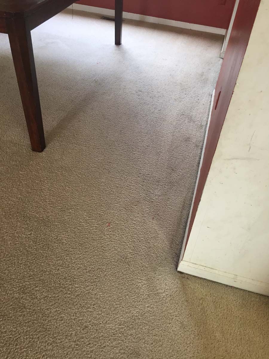 Carpeted floor beside a table and wall, with bright light from a nearby window.