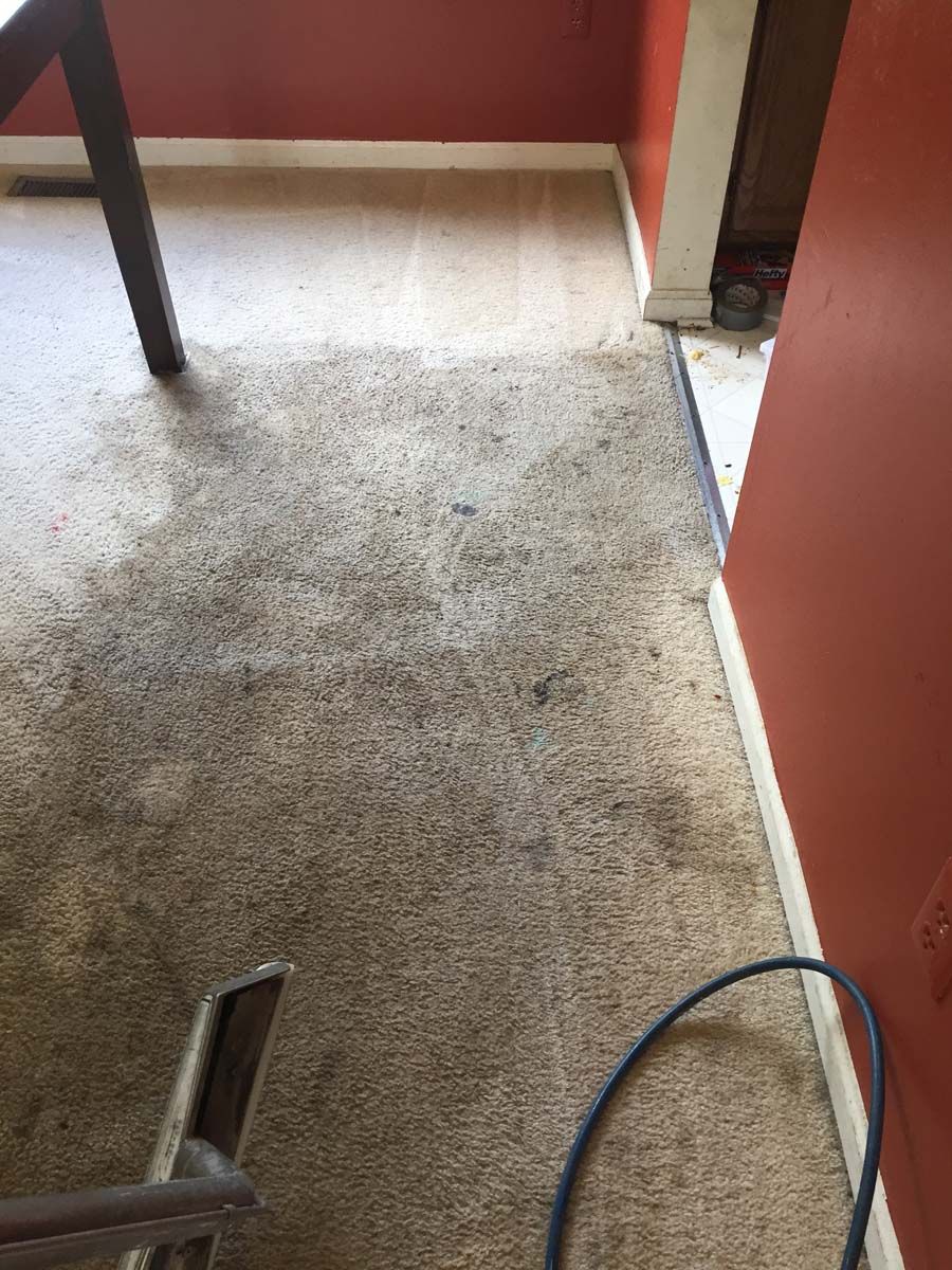 A dirty carpeted hallway with red walls and a black cable looping across the floor.