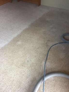 Carpeted floor with a blue cord and part of a silver fan or appliance at the bottom right