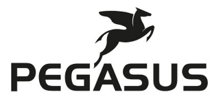 Logo mit der Silhouette eines geflügelten Pferdes über dem Text „PEGASUS“ in einer fetten, serifenlosen Schriftart.