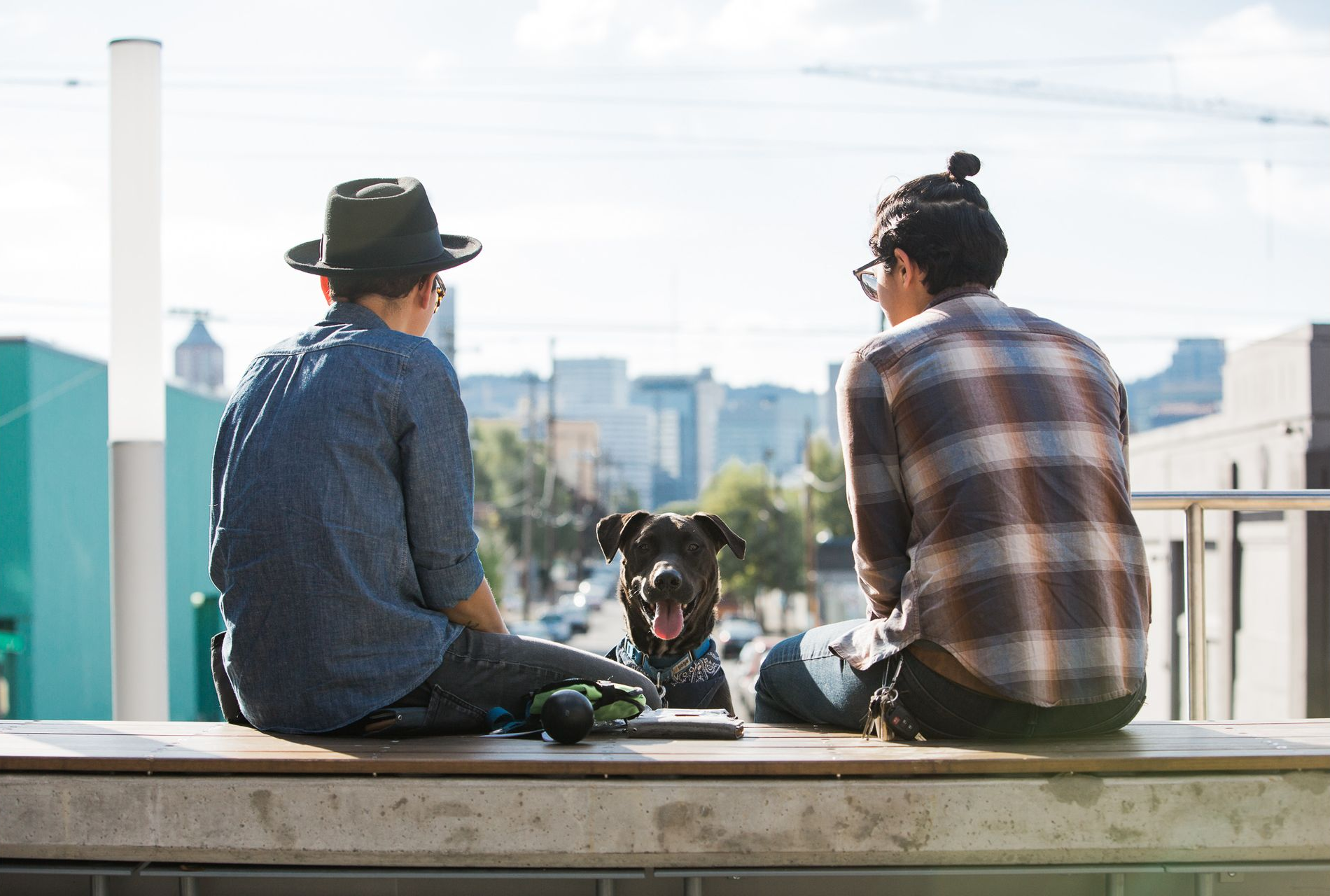 Two people sitting on a rooftop with a dog, looking out over a city skyline
