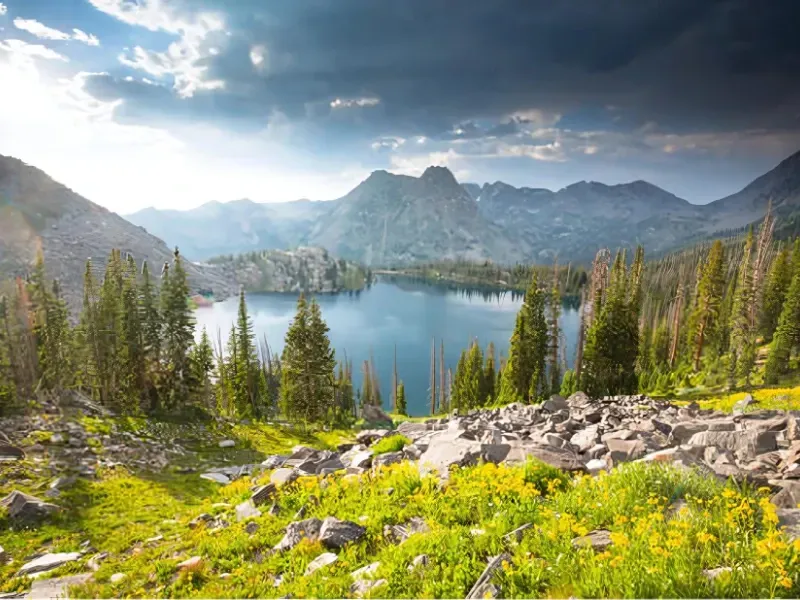 Scenic view of a mountain lake surrounded by pine trees, wildflowers, and rocky terrain under a cloudy sky.