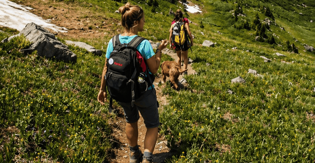 Two hikers with backpacks walking along a narrow mountain trail through green grass