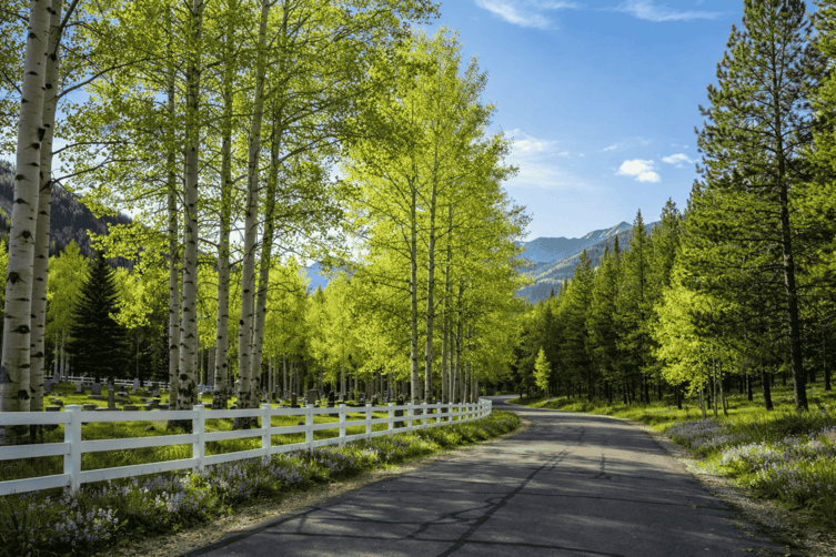 Four O’Clock Subdivision in Breckenridge, CO Four O’Clock Subdivision in Breckenridge, CO