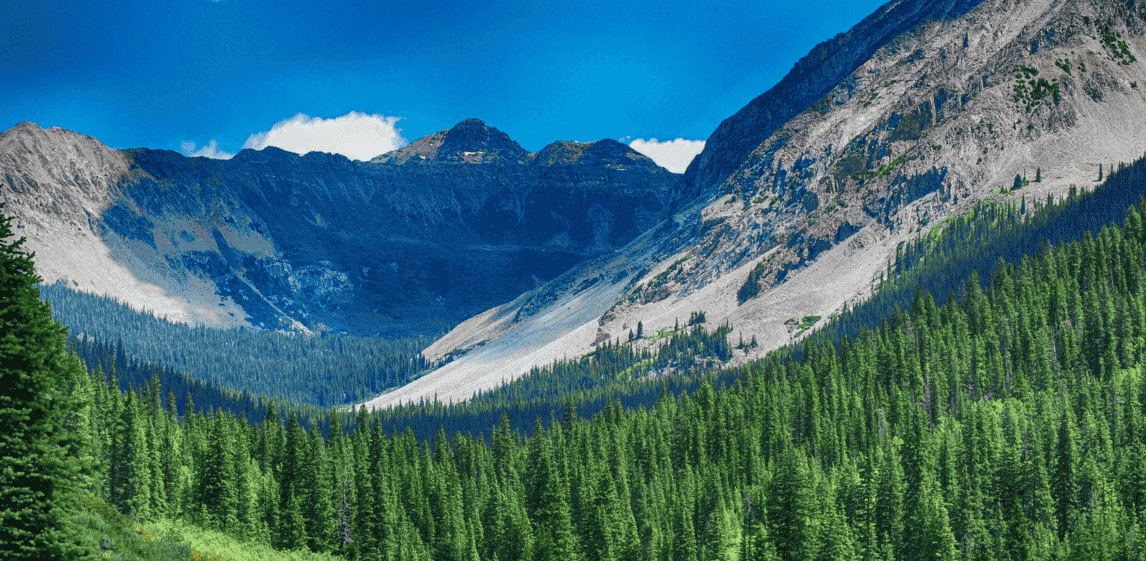 A path going through a mountain valley surrounded by trees