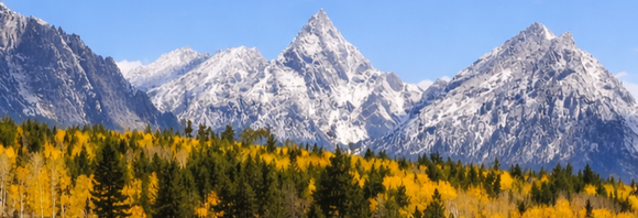 Snow-covered mountain peaks above a golden autumn forest under a clear blue sky