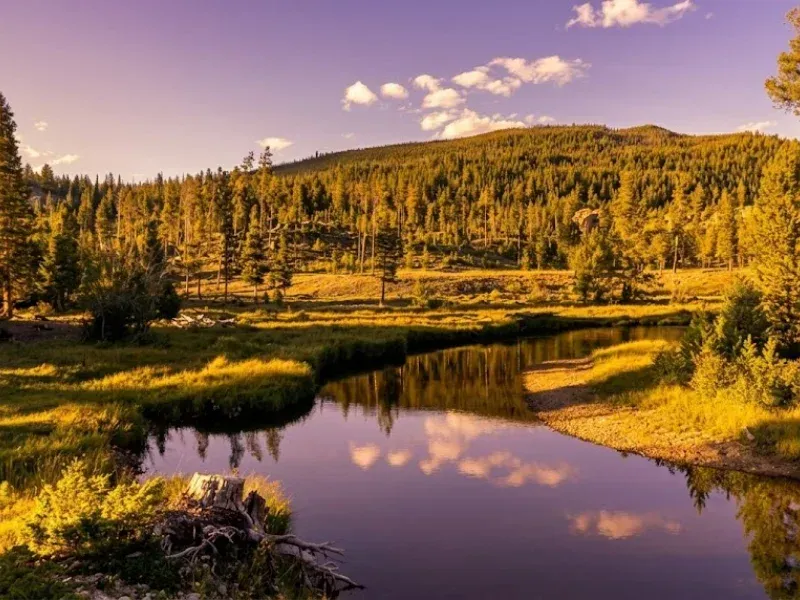 Tonahutu _ Colorado River Road Area  in Grand Lake, Colorado
