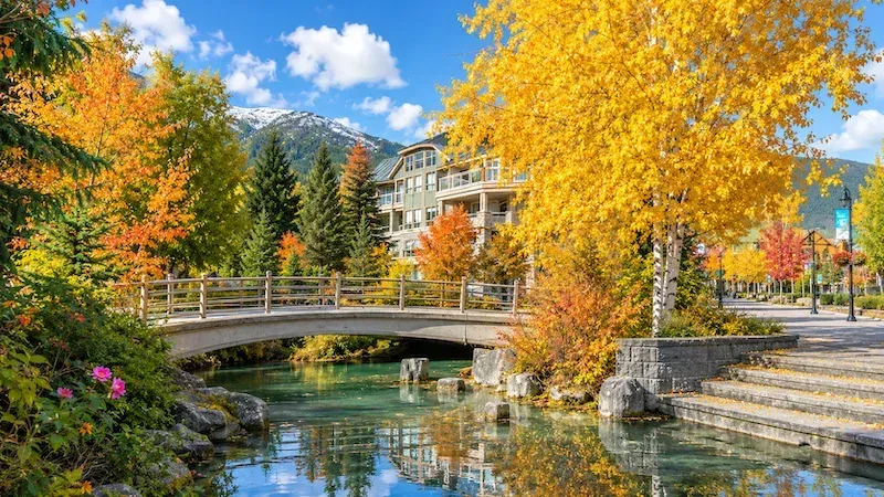 Whistler Village / Walton Creek Area Neighborhood in Steamboat Springs, CO
