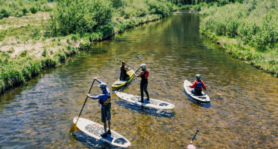 Four people paddleboarding down a clear, shallow river surrounded by grassy banks and green forest.