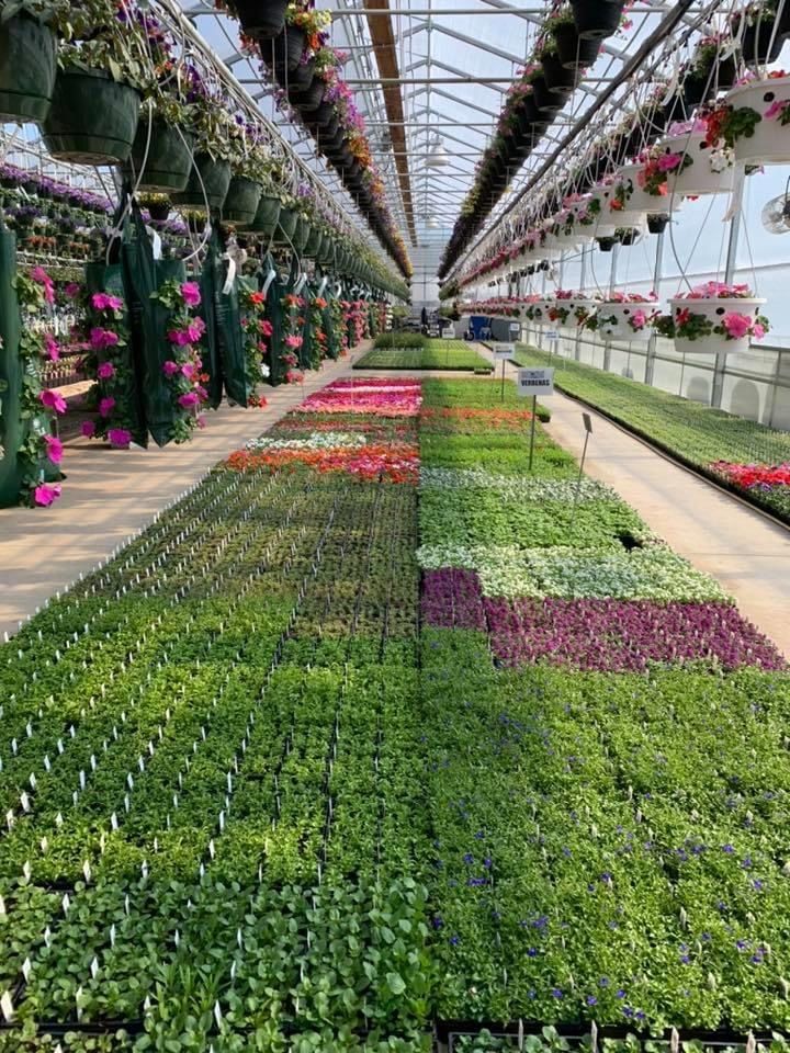 A Photo Of People — Williston, VT — Paquette Full of Posies