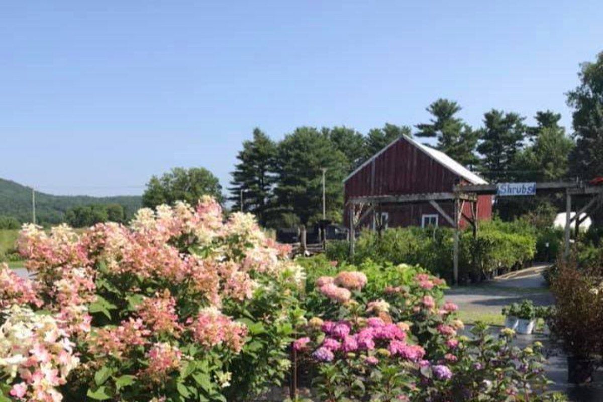 Group Photo — Williston, VT — Paquette Full of Posies