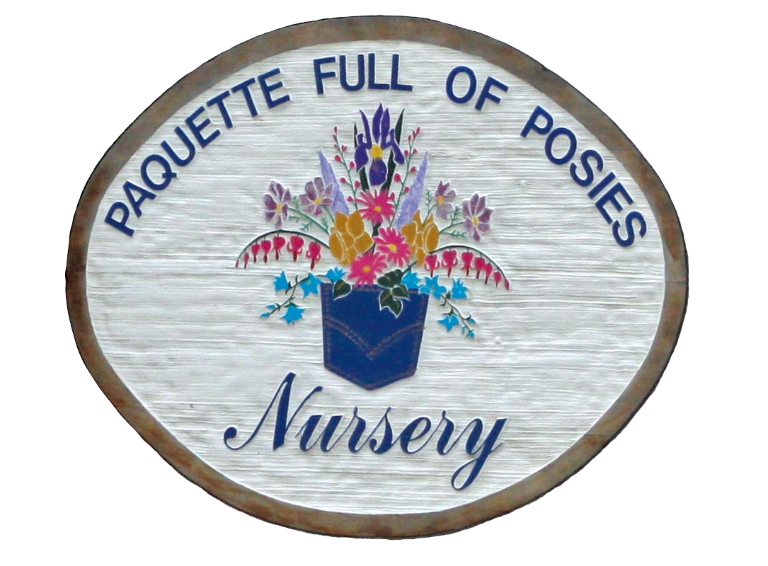 Paquette Full of Posies