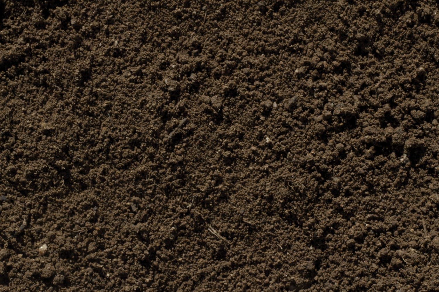 Topsoil — Williston, VT — Paquette Full of Posies