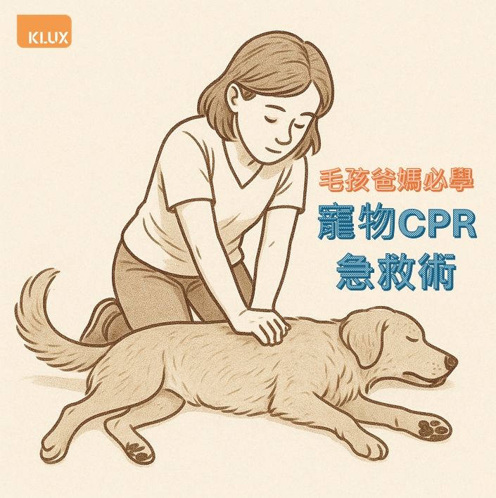 一位女性正為倒地的中型狗狗進行心肺復甦術,雙手交疊壓在狗狗胸口,狗側躺在地板上