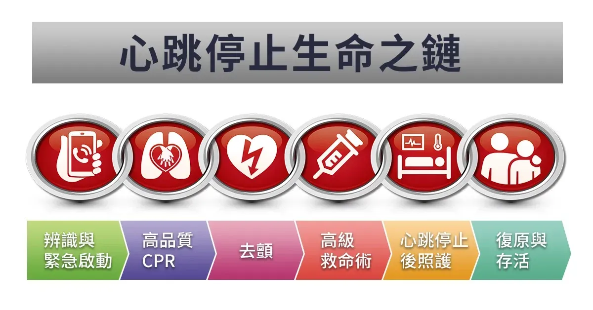 生命之鏈完全解析:急救人員到來前,你能做什麼?