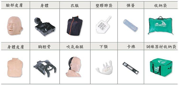 成人CPR訓練人型 專業型 L300