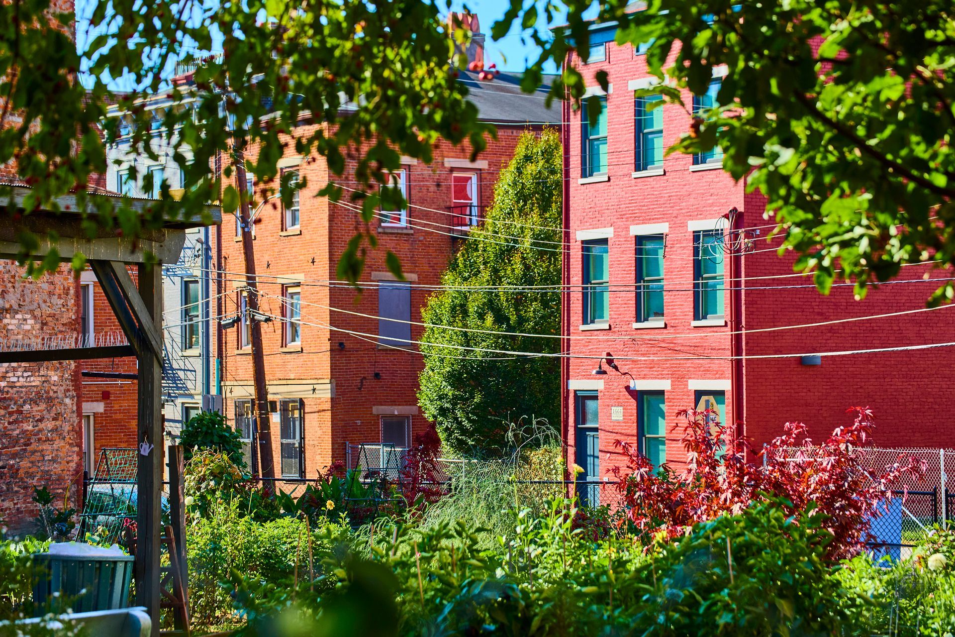 A row of red brick buildings with trees in front of them