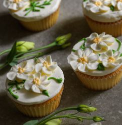 custom cupcakes raspberry