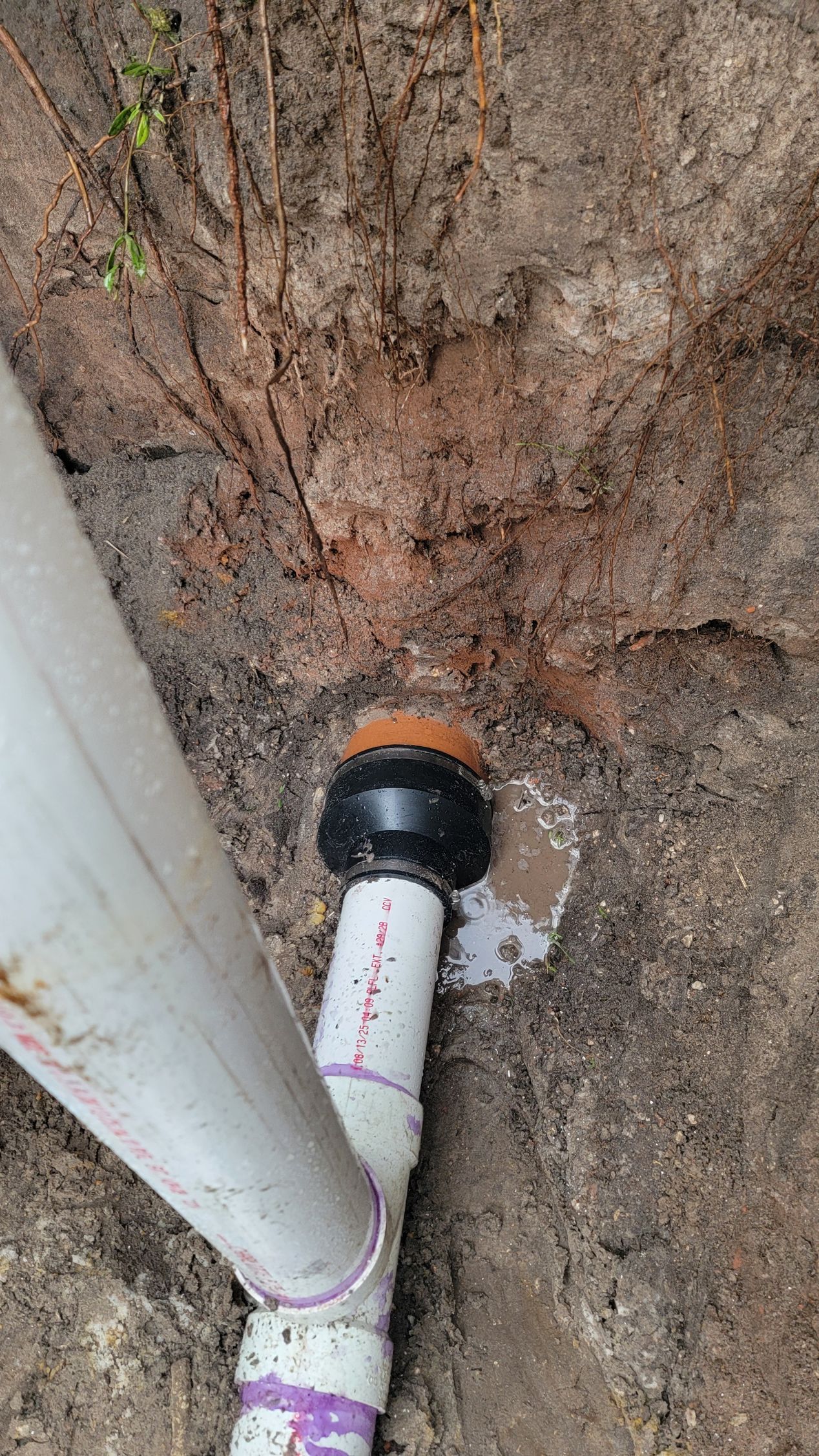 White PVC pipe with a black drain cap at the base of a dirt wall.