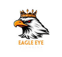 White eagle head logo wearing a gold crown above &ldquo;EAGLE EYE&rdquo; text